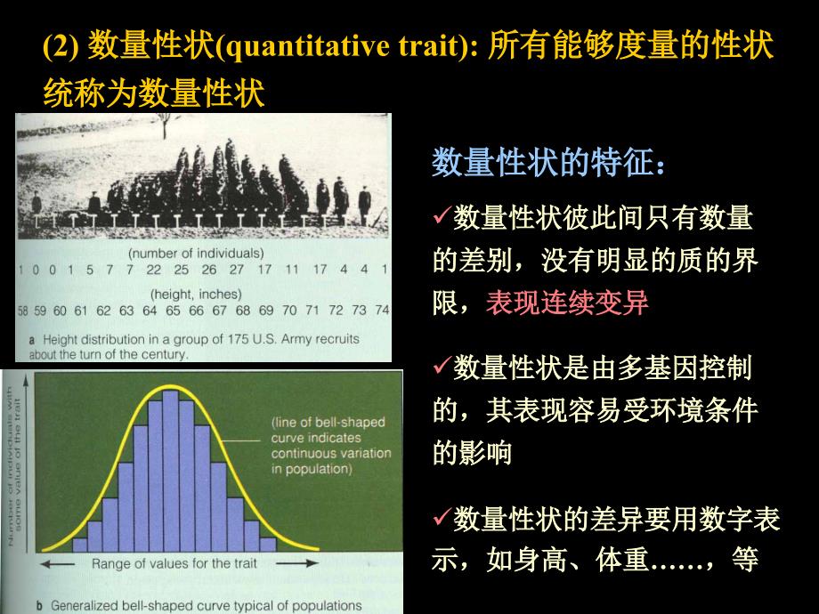 数量遗传分析幻灯片_第3页