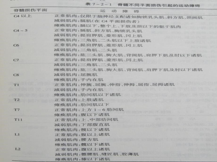 康复治疗学各论第二节ppt课件_第5页