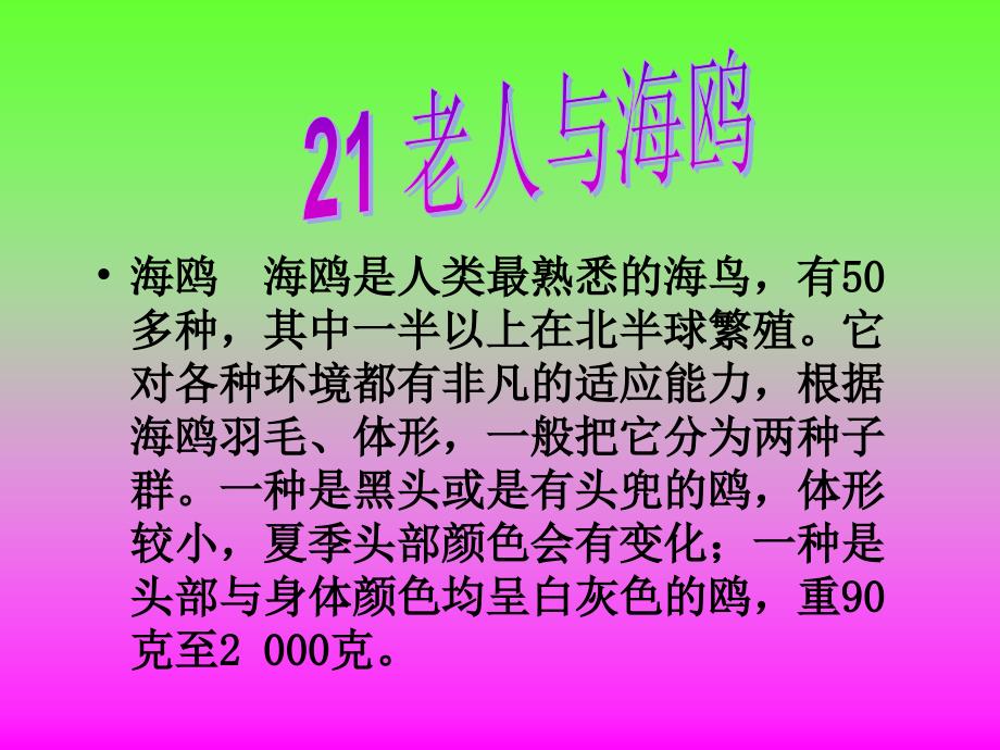 六年级语文老人与海鸥3_第1页