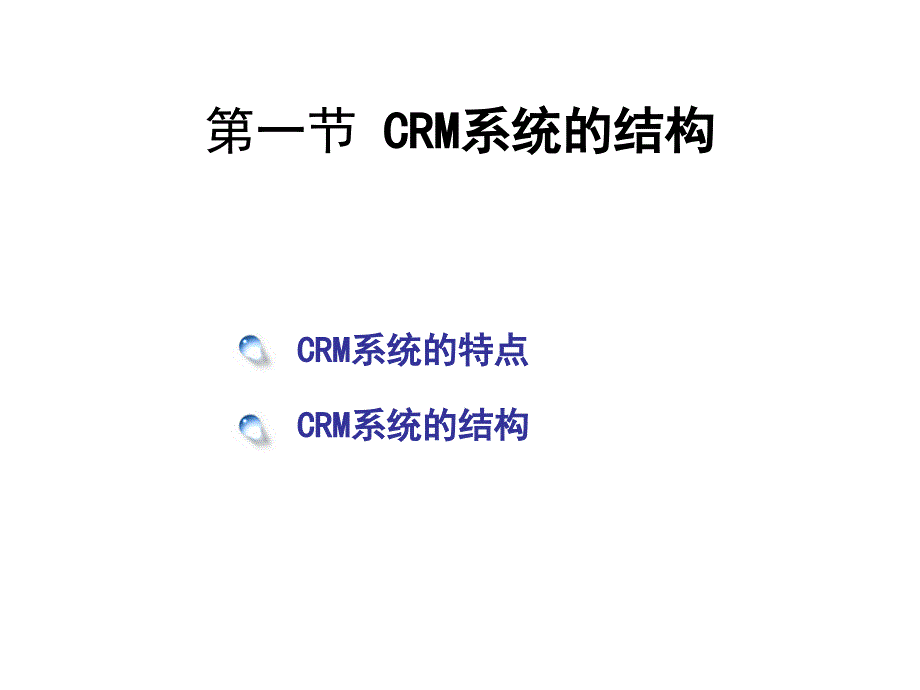 《CRM的技术系统》PPT课件.ppt_第2页