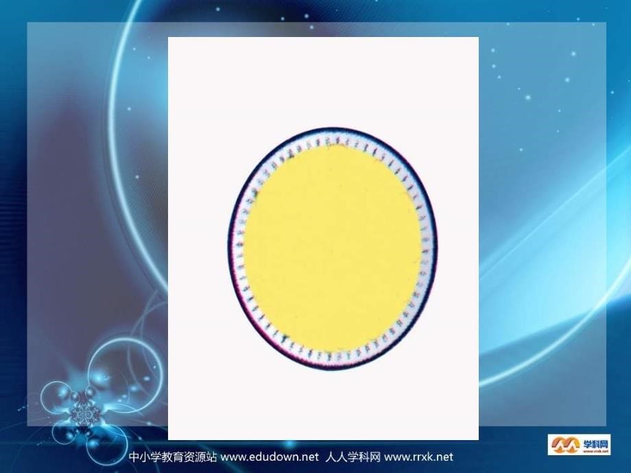 西师大版数学二下认识钟表课件之三_第5页