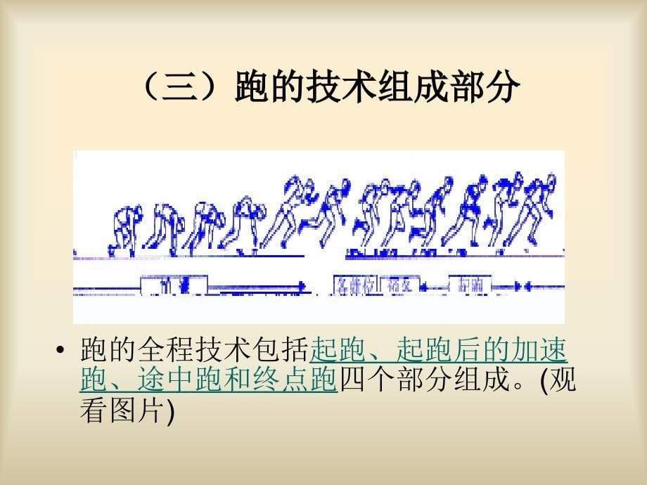 短距离跑的技术课件_第5页