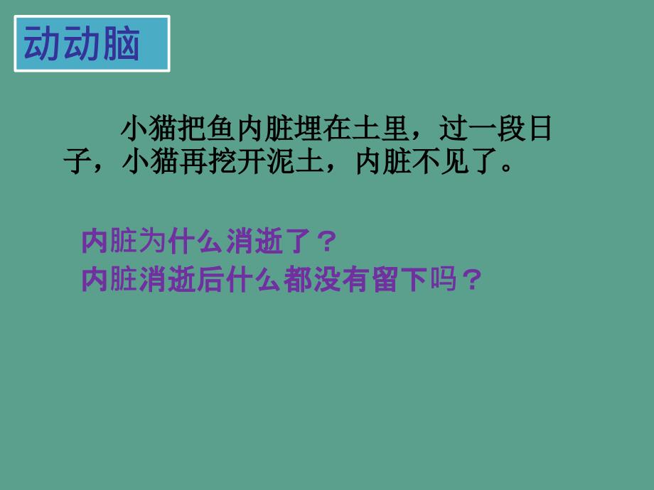 生物七年级下册6.1.4细菌和真菌在生物圈中的利用1.ppt课件_第2页