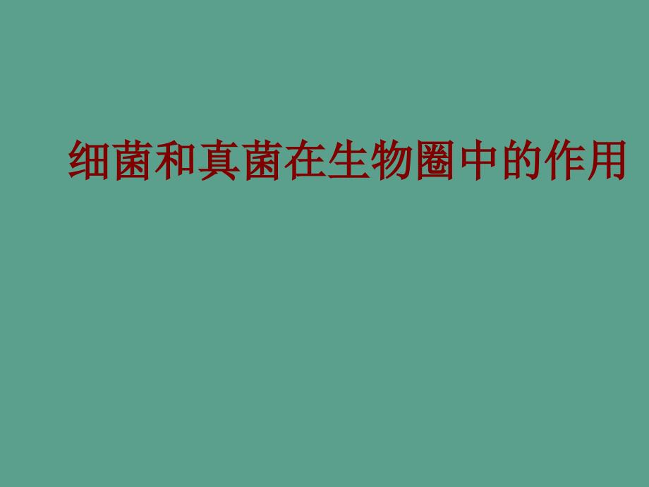 生物七年级下册6.1.4细菌和真菌在生物圈中的利用1.ppt课件_第3页