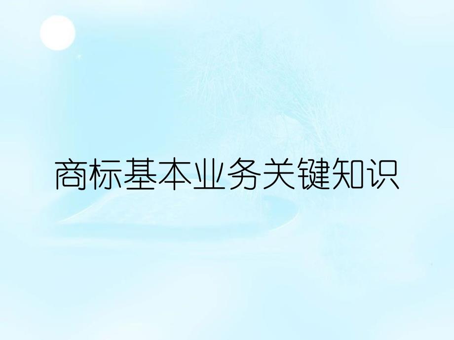 商标基本业务关键知识_第1页