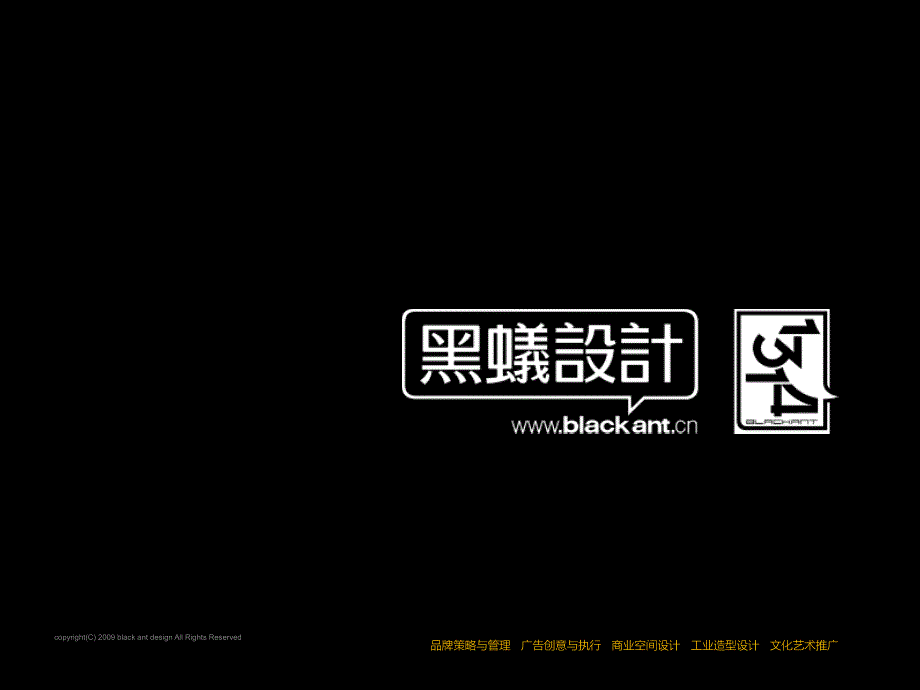 03月10日重庆中交康桥项目广告执行思考_第2页