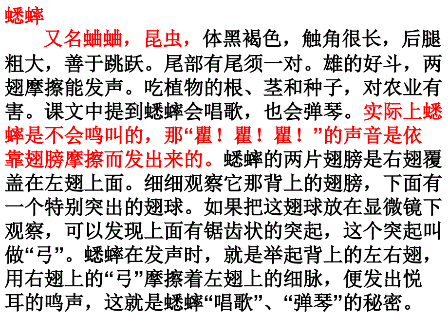 人教版四年级语文上册蟋蟀的住宅PPT课件_第3页