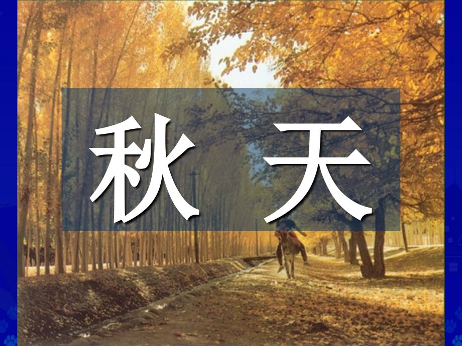 识字1（自设）_第2页