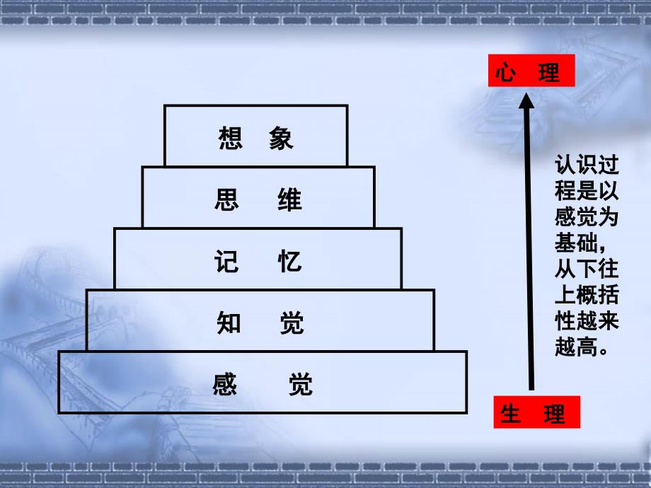 管理心理学车丽萍.ppt_第4页