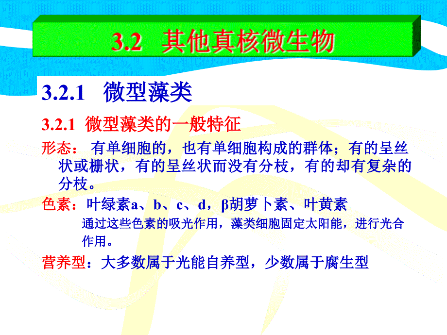 其他真核微生物(藻类等)_第1页