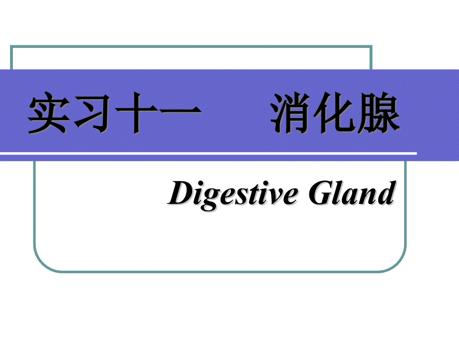 实习十一消化腺PPT课件_第1页