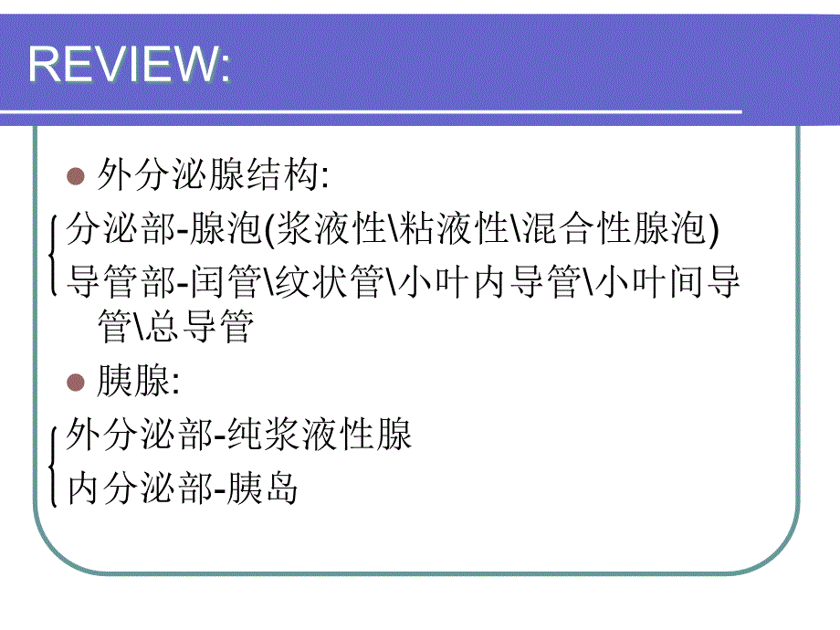 实习十一消化腺PPT课件_第3页