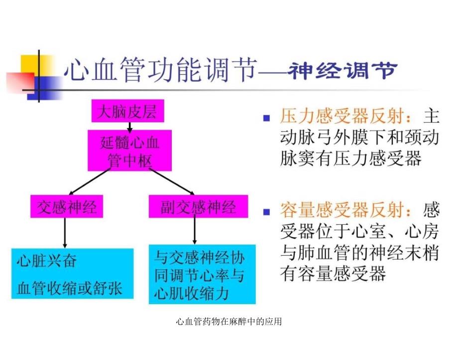 心血管药物在麻醉中的应用课件_第3页