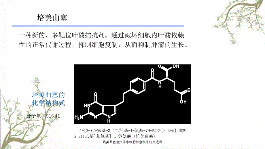 培美曲塞治疗非小细胞肺癌临床研究进展_第3页