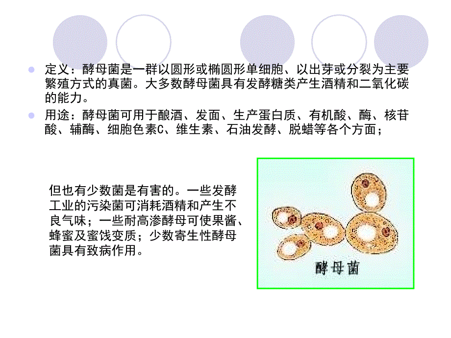 酵母菌及其在食品中的应用.ppt_第3页