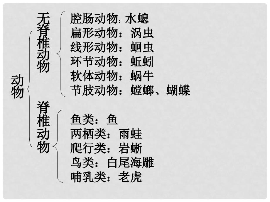 湖南省耒阳市冠湘中学八年级生物上册 6.1.2 从种到界课件（2）（新版）新人教版_第2页