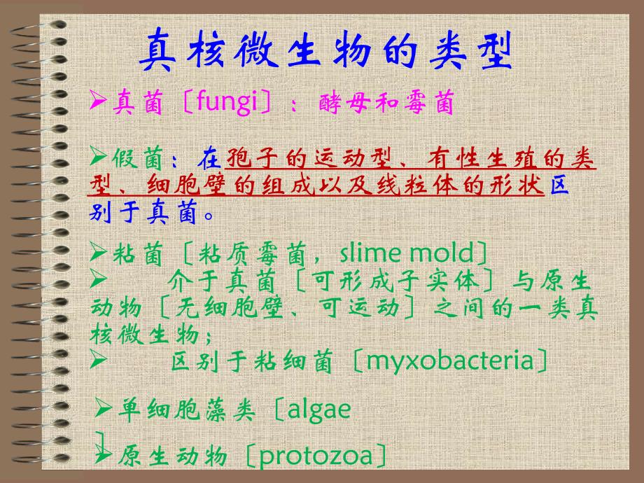 真菌的细胞结构与功能_第2页