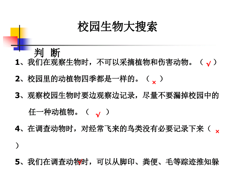 《校园生物大搜索》_第3页