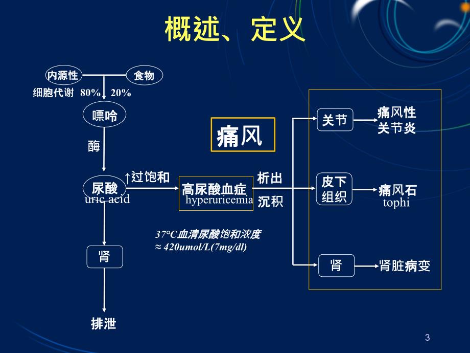 内科学课件：高尿酸血症与痛风_第3页