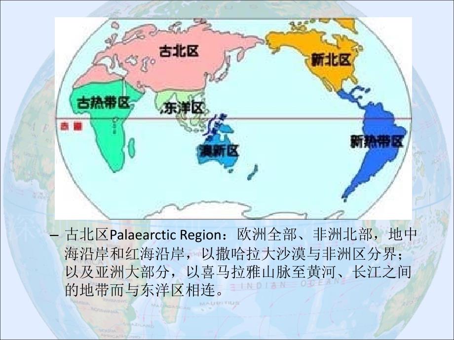 世界陆地动物地理区域和昆虫分布_第4页