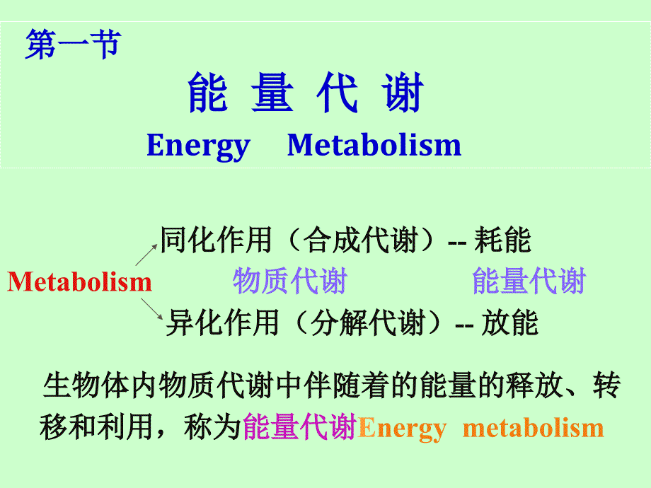 国家精品课程生理学能量代谢和体温_第2页