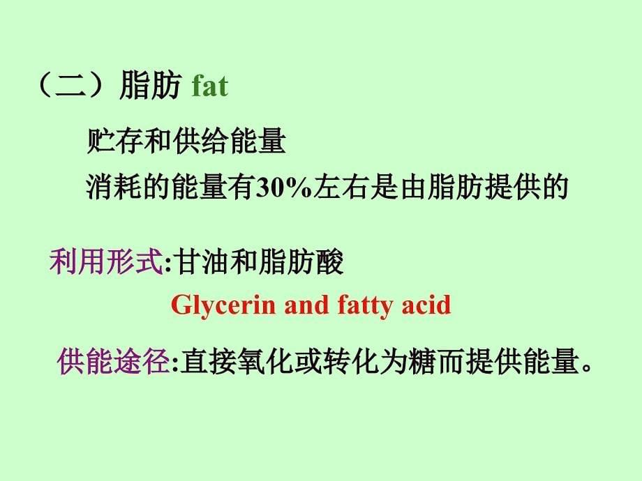 国家精品课程生理学能量代谢和体温_第5页