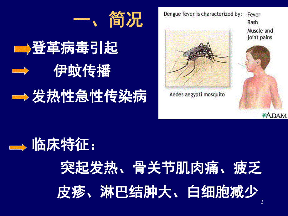 登革热培训登革热ppt课件_第2页