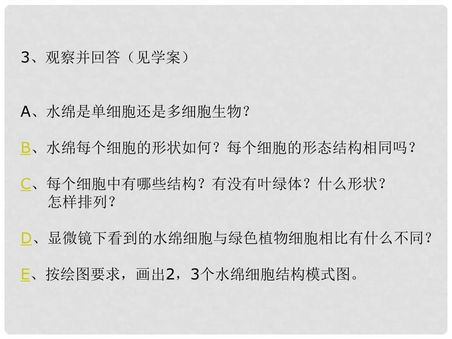 江苏省太仓市第二中学七年级生物下册《水中的藻类》课件 苏科版_第5页