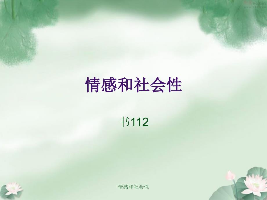 情感和社会性课件_第1页