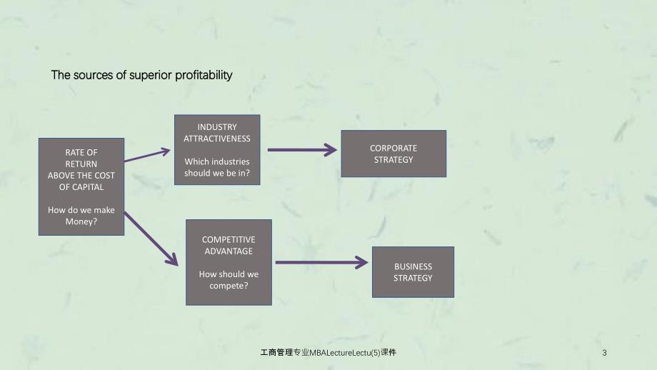 工商管理专业MBALectureLectu5课件_第3页