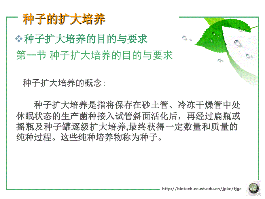 种子的扩大培养优秀课件_第3页