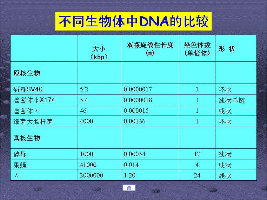 基因组的结构与功能分子生物学_第3页