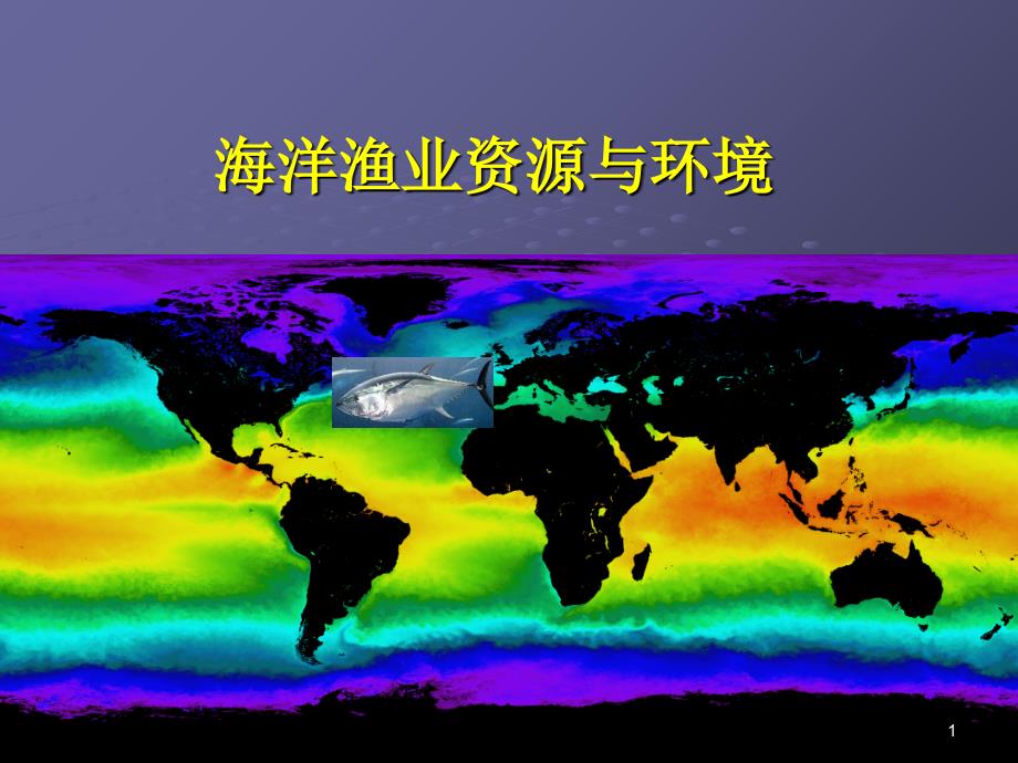 海洋环境与鱼类行动关系ppt课件_第1页