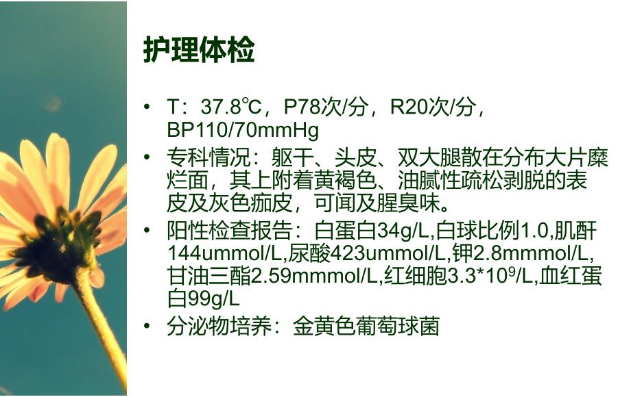 《天疱疮的护理》PPT课件_第3页