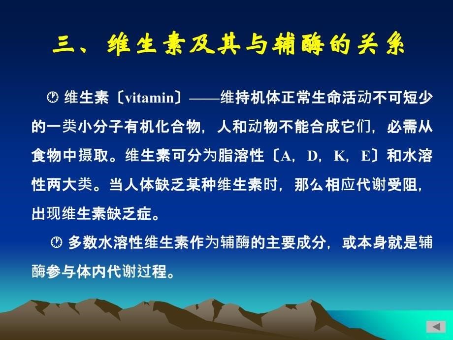 第十一章维生素和辅酶ppt课件_第5页