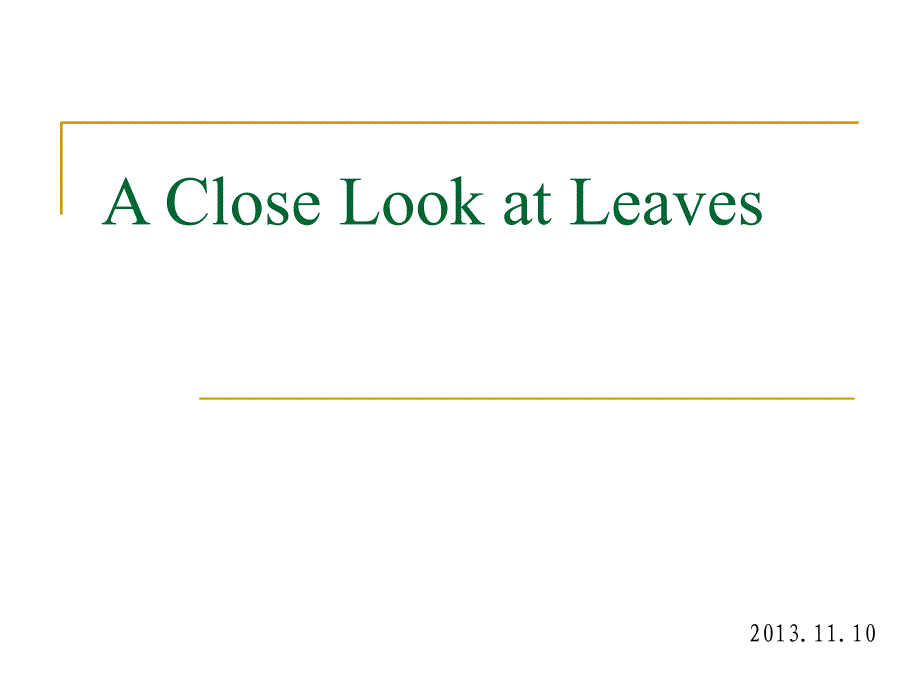 论文赏析-A Close Look at Leaves_第1页