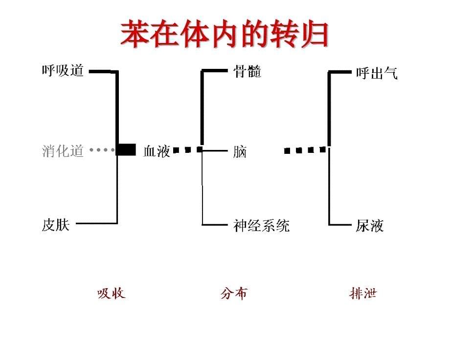 卫生学教学课件：Benzene 苯_第5页