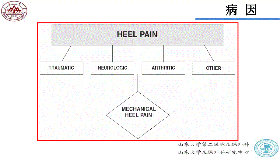 跟痛症 ppt课件_第4页