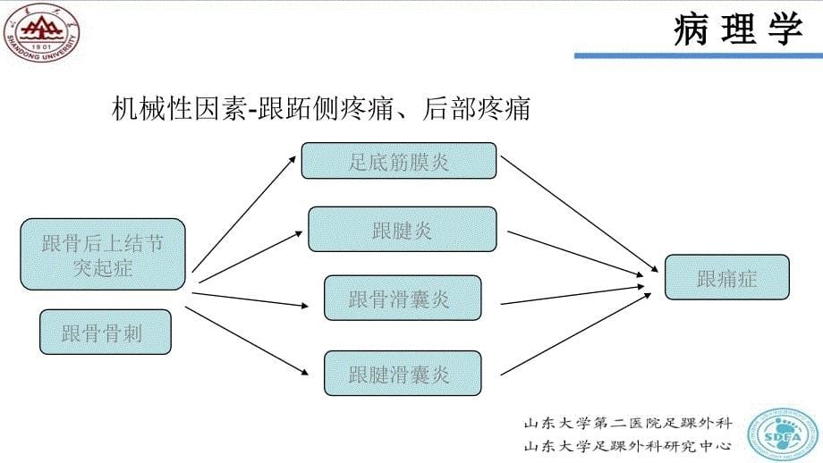 跟痛症 ppt课件_第5页