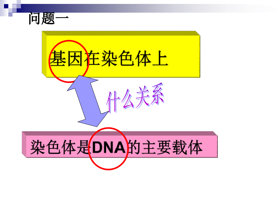 基因是有遗传效应的DNA片段上课用课件.ppt_第2页