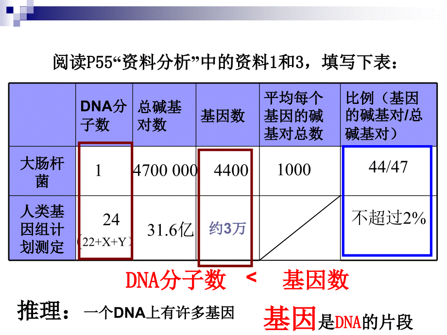 基因是有遗传效应的DNA片段上课用课件.ppt_第3页