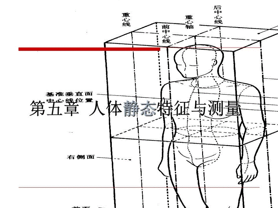 人体静态特征与测量.ppt_第1页