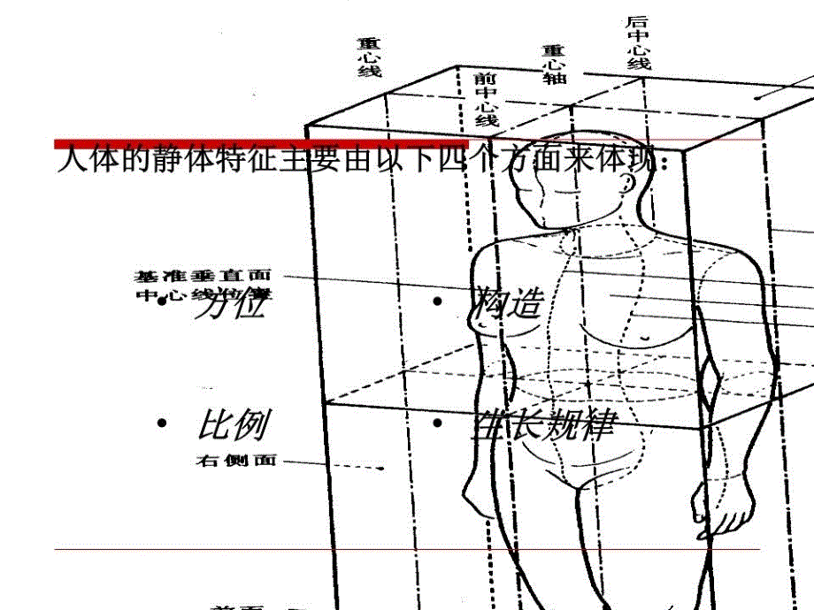 人体静态特征与测量.ppt_第3页