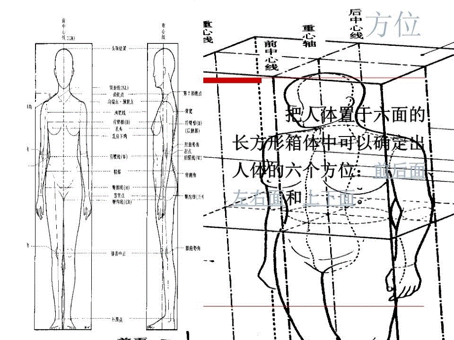 人体静态特征与测量.ppt_第4页