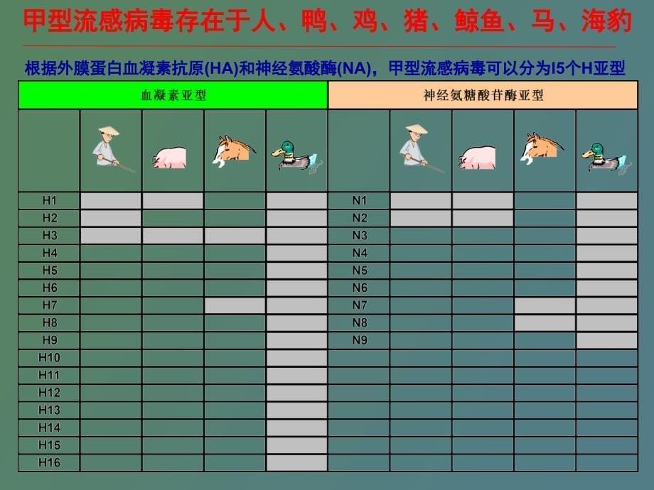 流行性感冒诊治现状_第5页