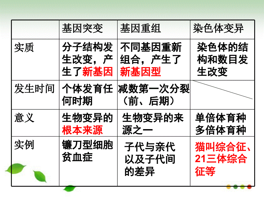 高一期末复习5_第3页