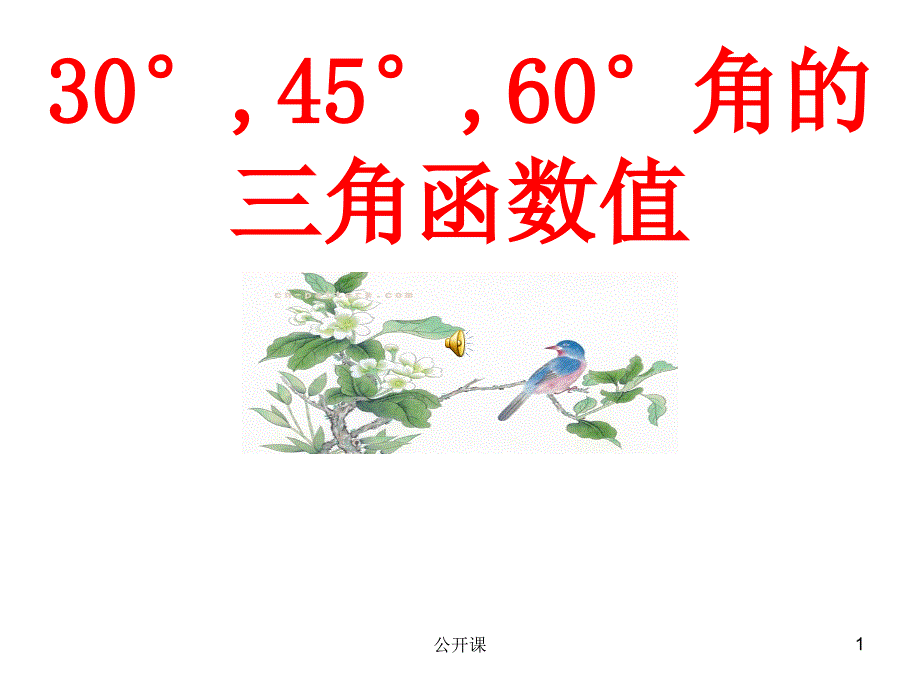 304560角的三角函数值上课材料_第1页