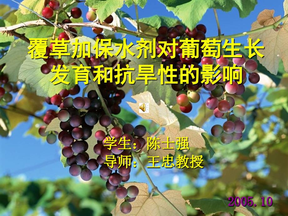 覆草加保水剂对葡萄生长发育和抗旱性的影响.ppt_第1页