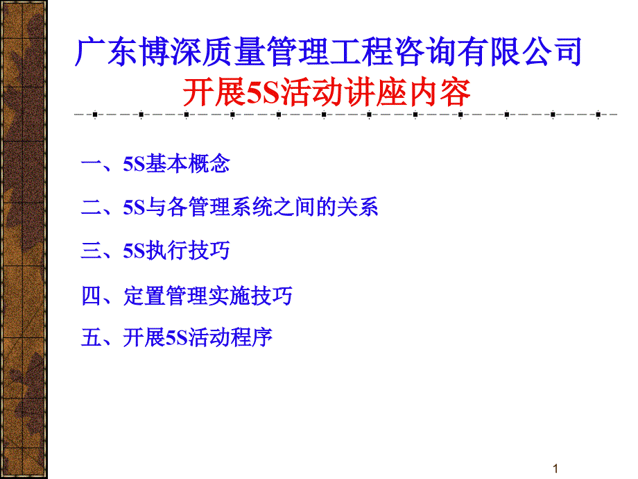 5S 活动讲义及实施指南 广东博深质量管理工程咨询有限公司_第1页