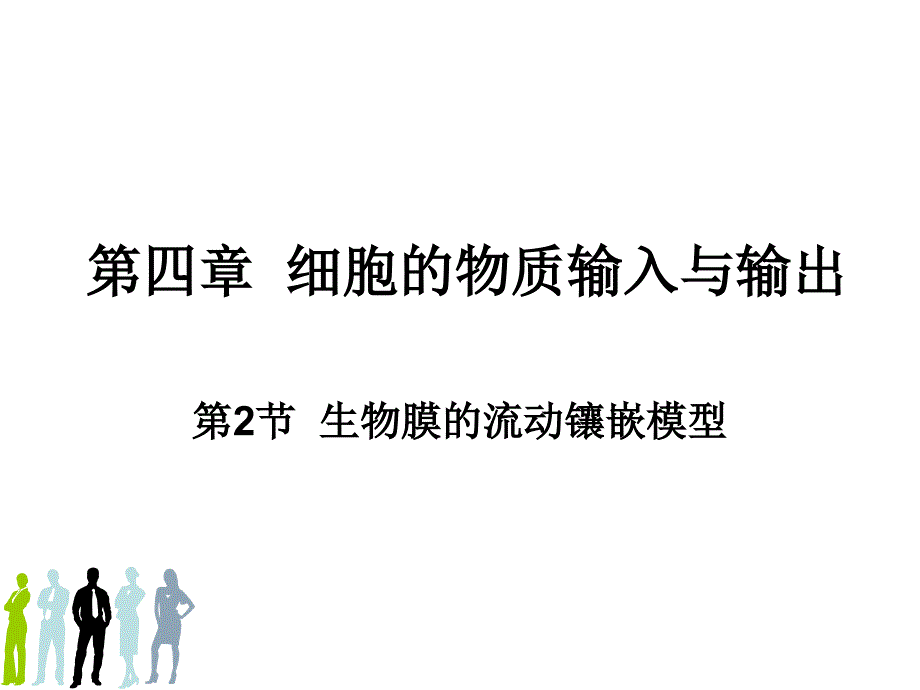 流动镶嵌模型_第1页